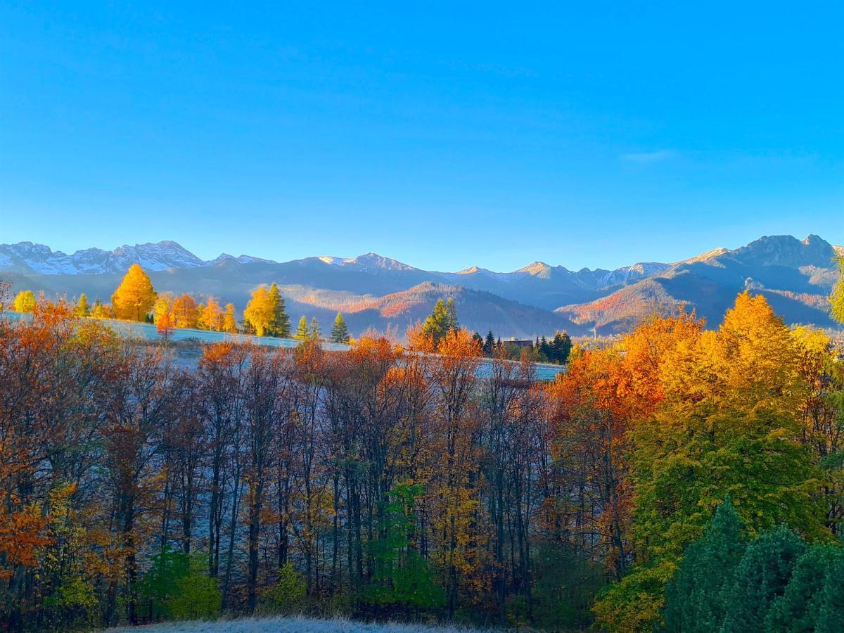 Apartamenty Skalna Chata Zakopane Kültér fotó