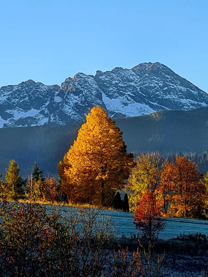 Apartamenty Skalna Chata Zakopane Kültér fotó
