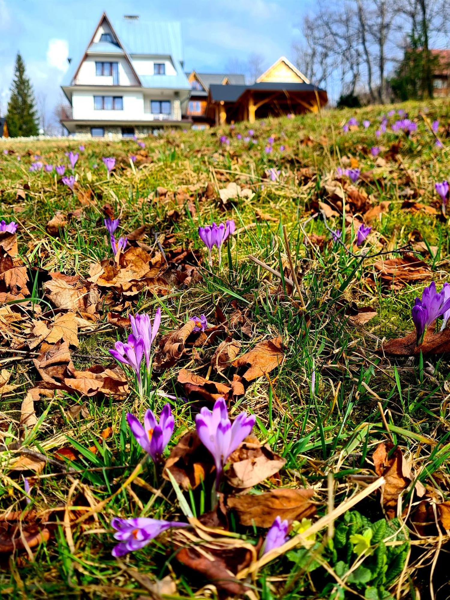 Apartamenty Skalna Chata Zakopane Kültér fotó